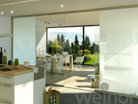 Ganzglasschiebetür W17c